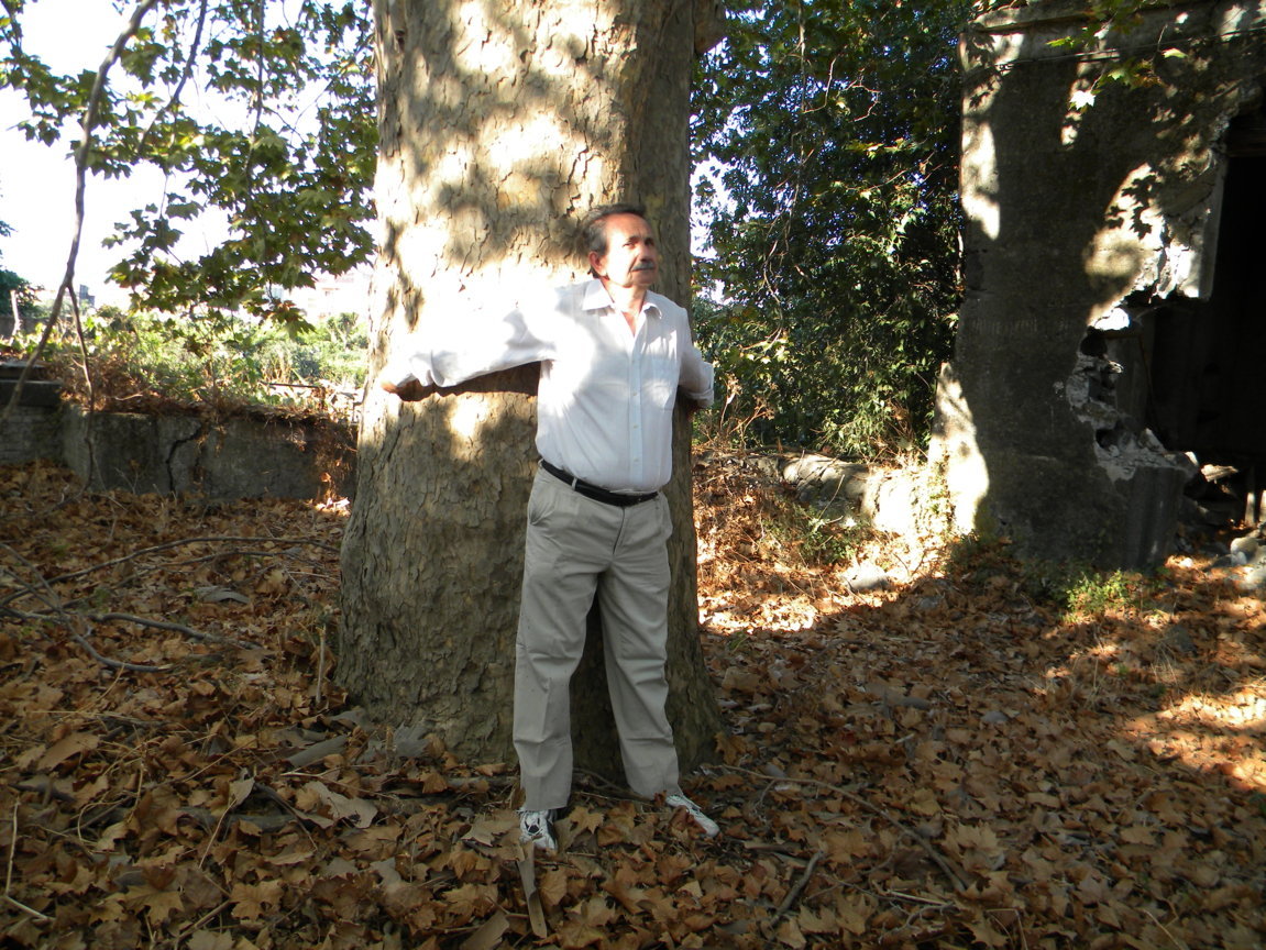 DSCN8039 .JPG